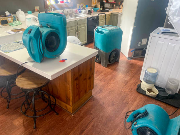 Best Emergency water damage restoration  in Farmersville, TX