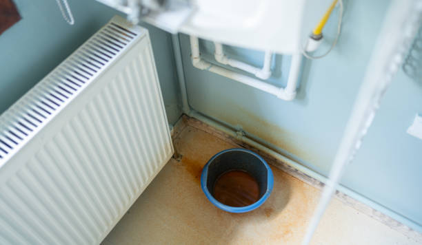 Best Water damage contractors near me  in Farmersville, TX