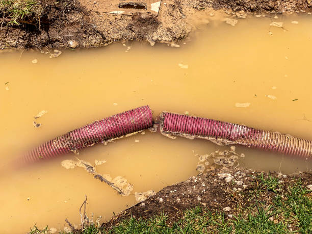 Best 24-hour water damage restoration  in Farmersville, TX